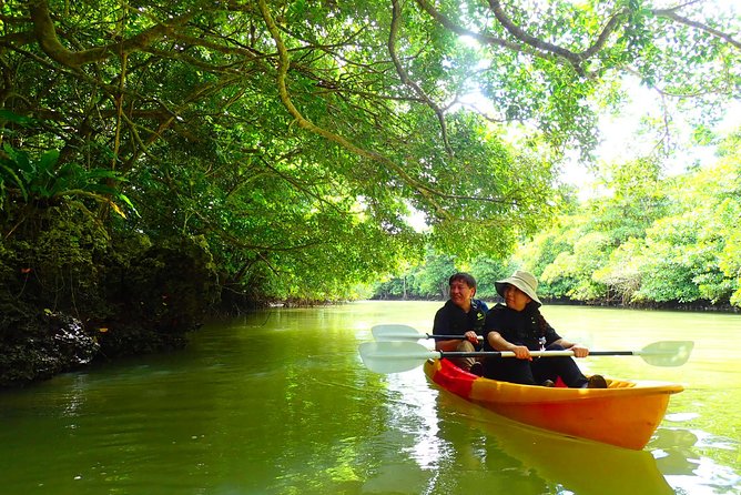Miyara River 90-Minute Small-Group SUP or Canoe Tour  - Ishigaki - Tour Inclusions