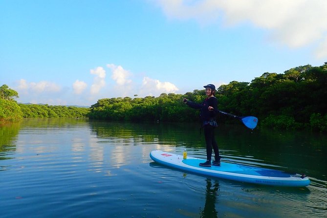 Miyara River 90-Minute Small-Group SUP or Canoe Tour  - Ishigaki - Tour Additional Information