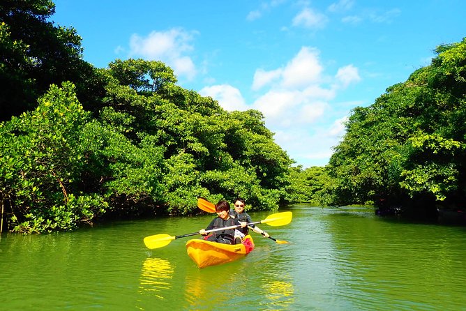 Miyara River 90-Minute Small-Group SUP or Canoe Tour  - Ishigaki - Tour Cancellation Policy