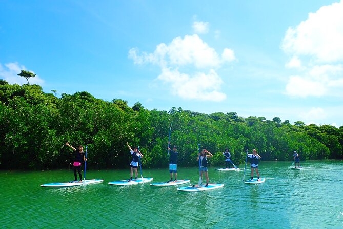 Miyara River 90-Minute Small-Group SUP or Canoe Tour  - Ishigaki - Recap