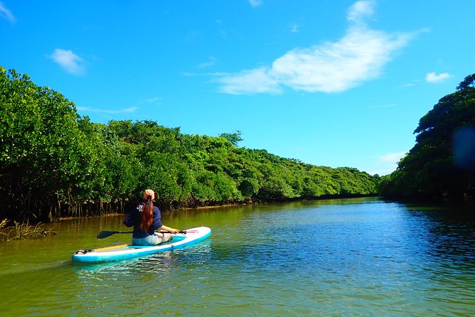 Miyara River 90-Minute Small-Group SUP or Canoe Tour  - Ishigaki - Frequently Asked Questions