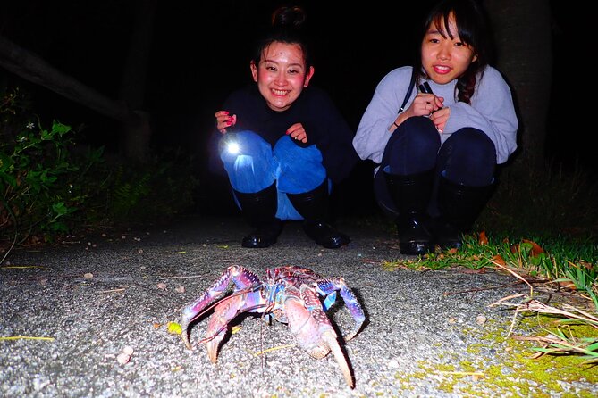 [Ishigaki] Night Jungle Tour - Tour Details and Itinerary