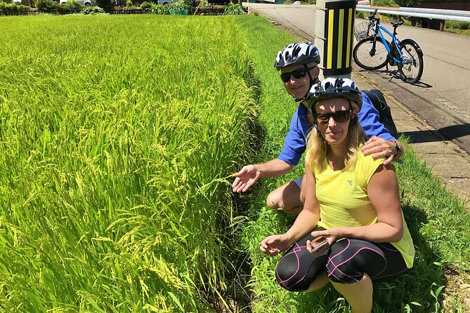 Half Day Rural E-Bike Tour in Hida - Local Guide and Cultural Insights