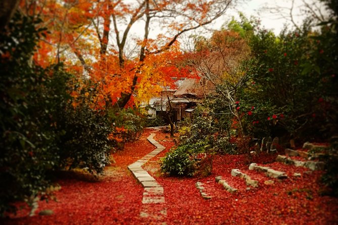 Arashiyama Bamboo Bike Tour (Early Bird) - Booking and Pricing Information