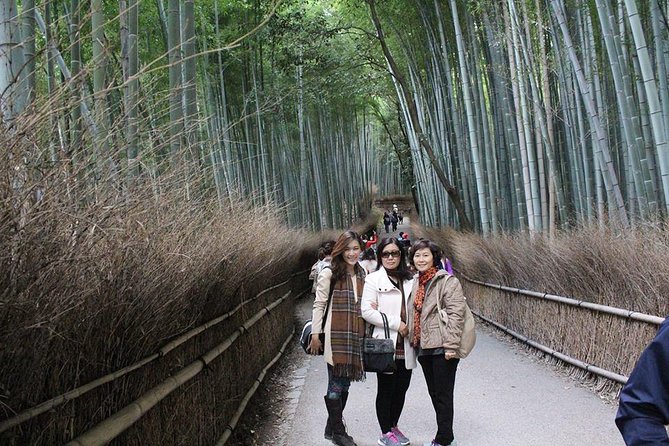 KYOTO Custom Tour With Private Car and Driver (Max 9 Pax) - Tour Details and Information