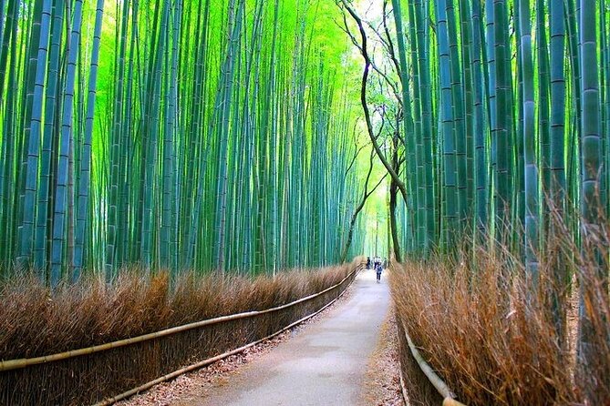 Private Walking Tour in Bamboo Forest & Hidden Spots in Arashiyama