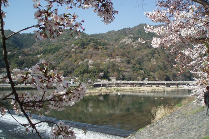 Private Walking Tour in Bamboo Forest & Hidden Spots in Arashiyama - Tour Details