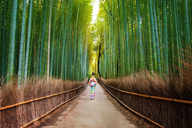 Arashiyama Walking Tour - Bamboo Forest, Monkey Park & Secrets - Hidden Secrets of Arashiyama