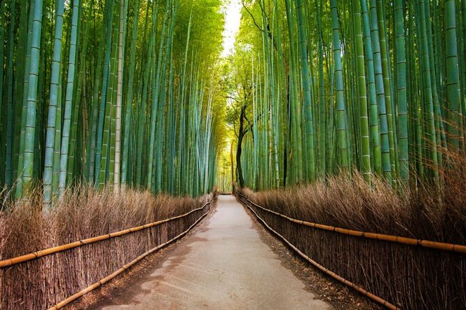 Arashiyama Walking Tour - Bamboo Forest, Monkey Park & Secrets - Recap