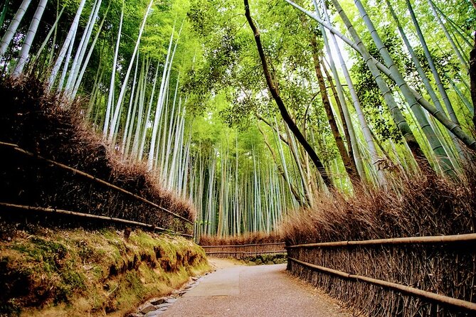 Arashiyama Walking Tour - Bamboo Forest, Monkey Park & Secrets - Local Cuisine and Cultural Delights