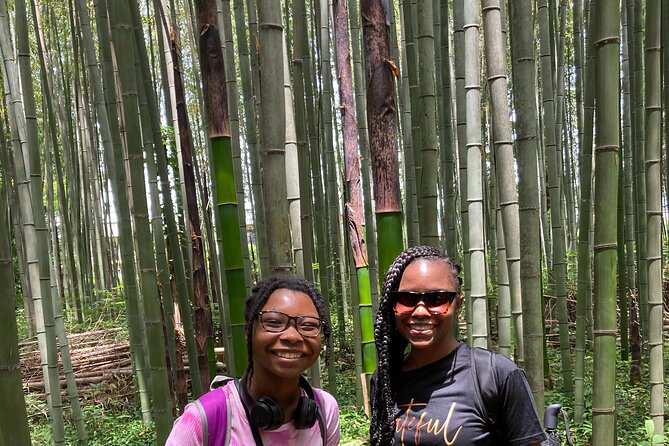 Private Custom Tour: Kyoto in One Day - Traveler Satisfaction and Reviews