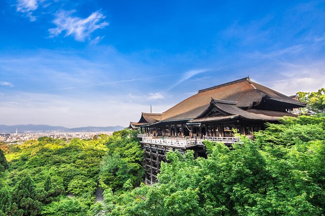 Kyoto Private 6 Hour Tour: English Speaking Driver Only, No Guide - Safety and Comfort Assurance