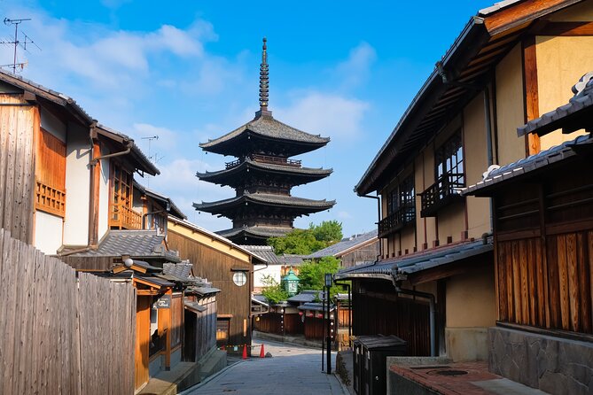 Private Kyoto Tour With Government-Licensed Guide and Vehicle (Max 7 Persons) - Reviews