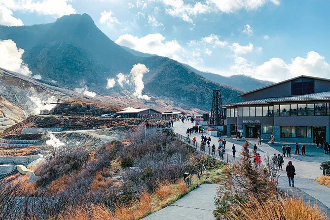 Private Full-Day Hakone and Mt. Fuji Tour With Bilingual Driver - Positive Experiences, Critiques, and Suggestions