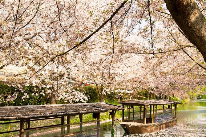 Private Full-Day Hakone and Mt. Fuji Tour With Bilingual Driver - Views of Mt. Fuji and Tour Guide Experience