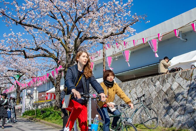 Private Half-Day Cycle Tour of Central Tokyo's Backstreets - Rental Bikes and Group Size
