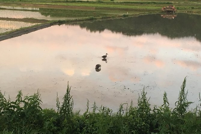 Tokyo Countryside Tours - Privacy and Exclusivity