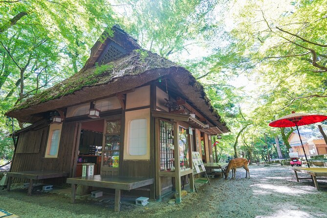 Nara Half Day Trip Walking Tour - Additional Information and Support