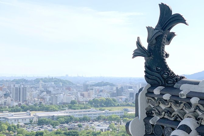 Himeji Half-Day Private Tour With Government-Licensed Guide - Traveler Experience