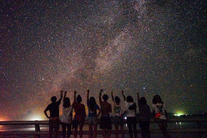 [Okinawa Miyako] Natural Planetarium! Starry Sky & Subtropical Jungle Night Tour