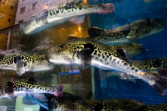 Adventurous Japanese Food Tour - Traveler Reviews