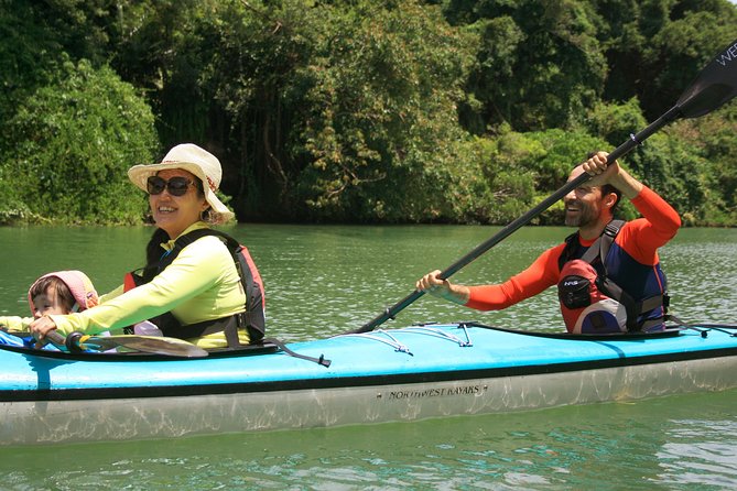 Kayak Mangroves or Coral Reef: Private Tour in North Okinawa - Booking Details