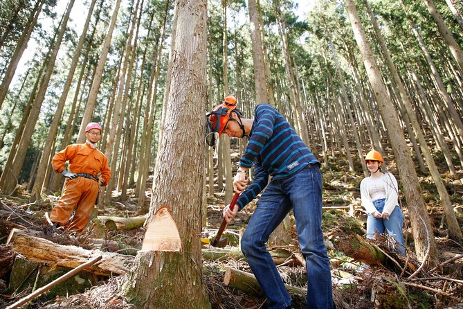 Discover Foresters Life Tour (1-Day) - Quick Takeaways