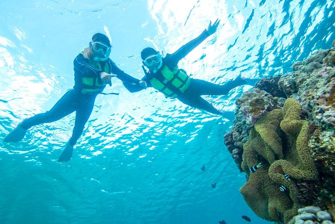 Easily Set Sail by Boat! / Blue Cave Snorkel Quick Takeaways