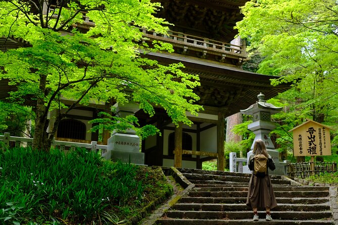 Forest Bathing in Temple and Enjoy Onsen With Healing Power Quick Takeaways