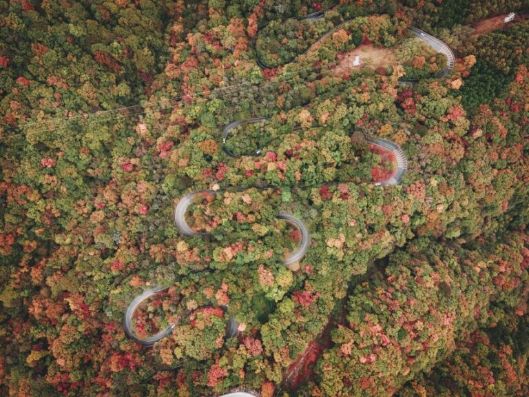 From Tokyo: Guided Day Trip to Nikko World Heritage Sites Quick Takeaways