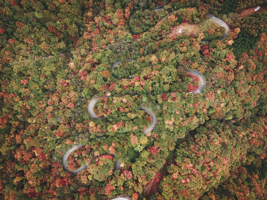 From Tokyo: Guided Day Trip to Nikko World Heritage Sites - Quick Takeaways