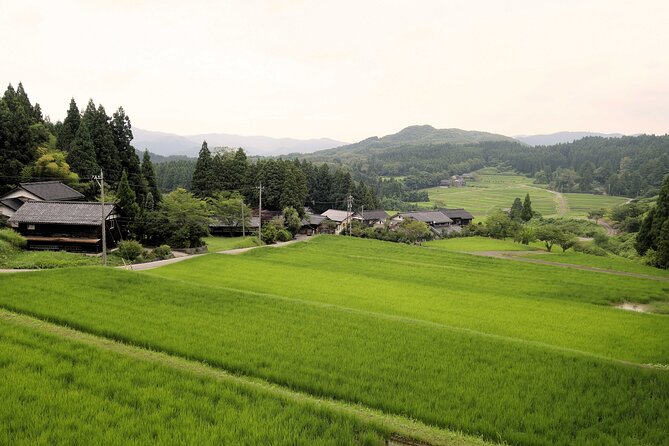 Full Day Bicycle Tour on the Noto Peninsula Quick Takeaways