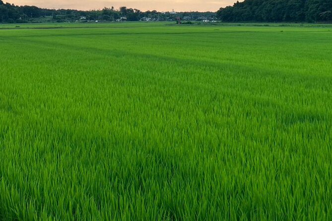 Full-Day Private Tokyo Countryside Tour - Quick Takeaways