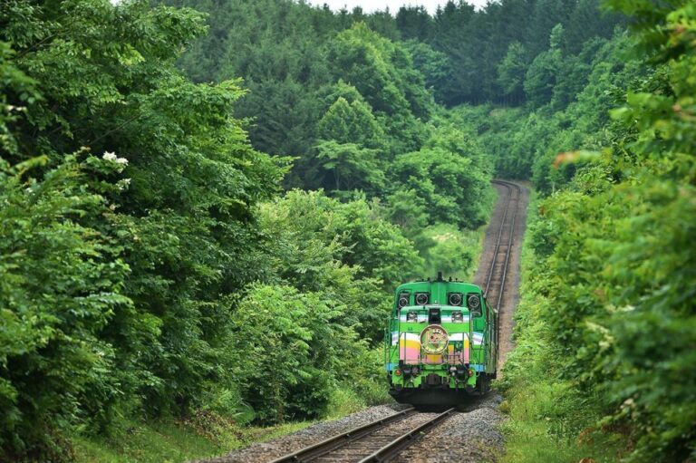 Furano & Biei All Must Sees Private Chauffeur Full day Tour Quick Takeaways