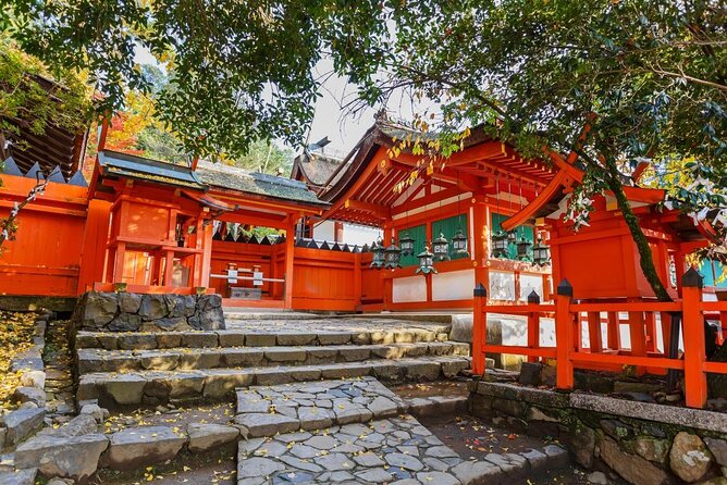 Fushimi Inari & Nara Highlights Tour Quick Takeaways
