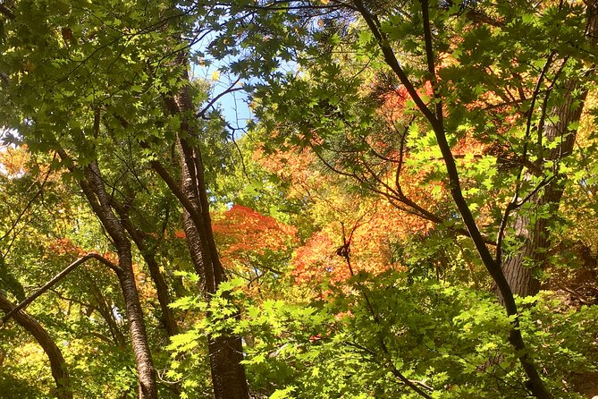 Hike and Pray With a Real Yamabushi in Nagano - Quick Takeaways