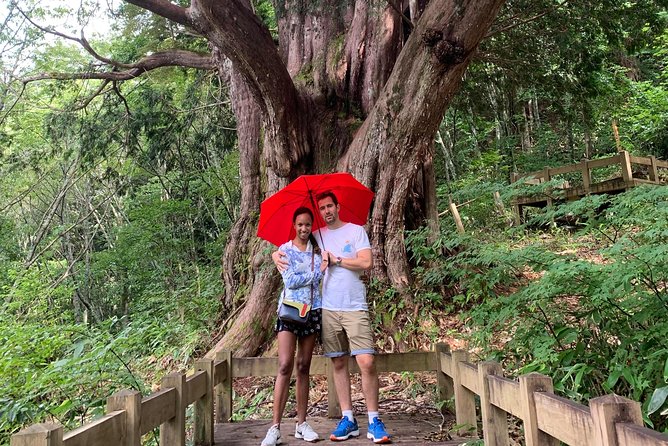 Hiking Tour Around Takayama City (About Hours) Quick Takeaways