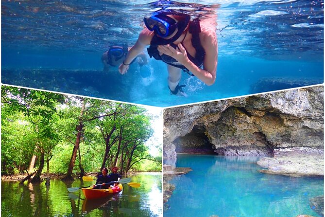 [Ishigaki]Mangrove SUP/Canoe Blue Cave Snorkeling - Quick Takeaways