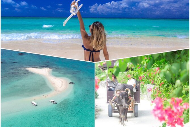 [Ishigaki]Phantom Island Snorkeling Taketomi Island Sightseeing - Quick Takeaways
