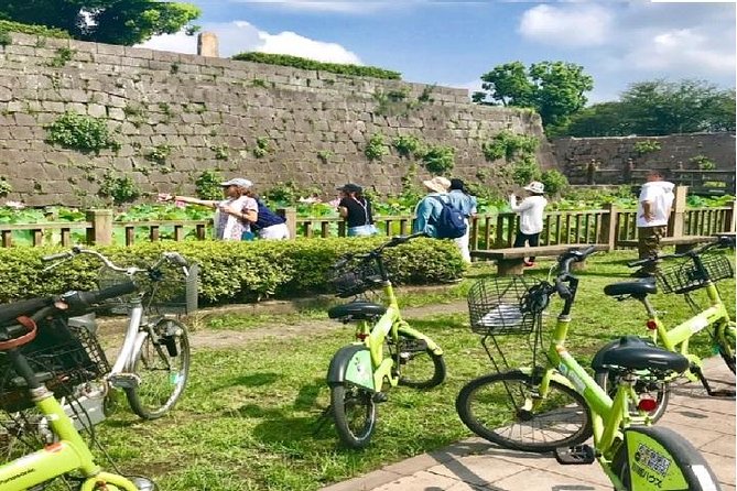 Kagoshima Bicycle Tour With Quiz Quick Takeaways