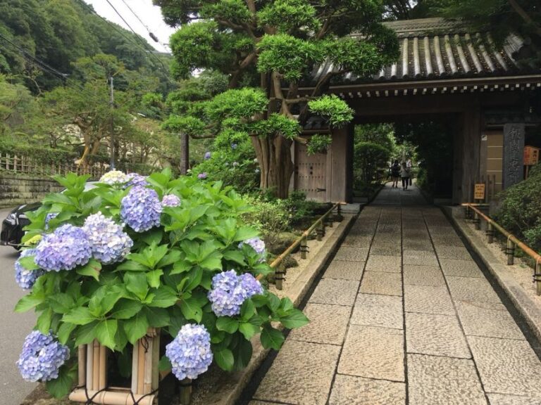 Kamakura: Private History and Heritage Tour by Rickshaw Quick Takeaways