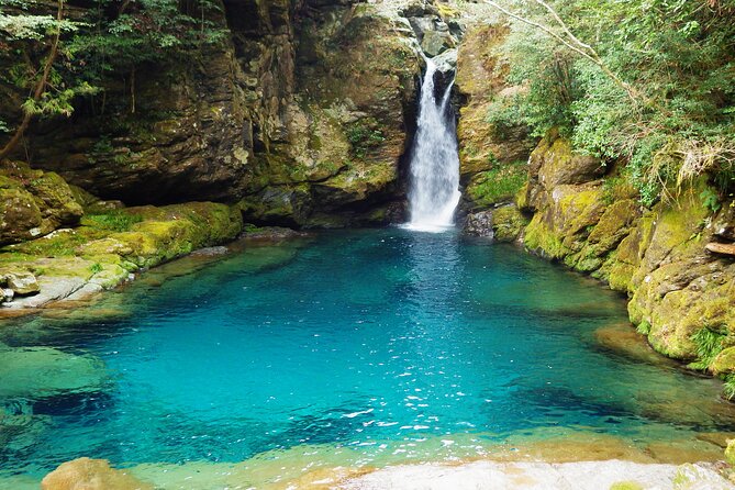 Kochi Private Day Adventure With Accommodation Quick Takeaways