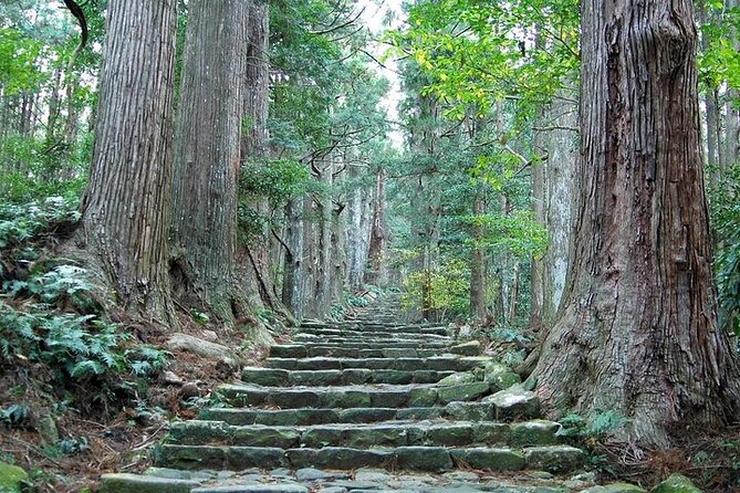 Kumano Kodo Half Day Daimonzaka and Nachi Taisha Tour Quick Takeaways