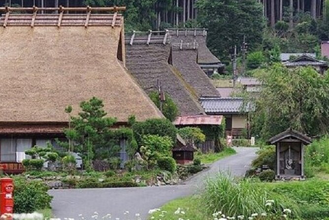 Kyoto, Osaka, Nara Private Tour by Car English Driver Guide Quick Takeaways