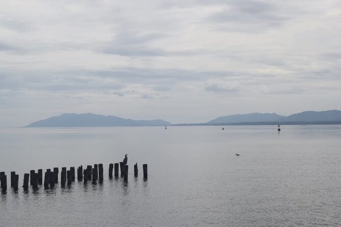 Matsue Half Day Private Trip With Government Licensed Guide Quick Takeaways