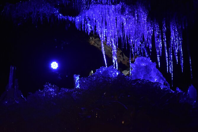 Mount Fuji Five Lakes Tour From Tokyo With Guide & Vehicle Quick Takeaways