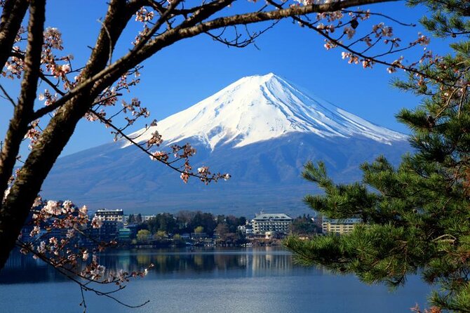 Mount Fuji & Hokane Lakes With English Speaking Guide Quick Takeaways