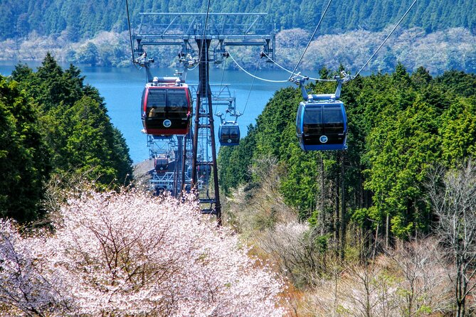 Mt Fuji and Hakone 1-Day Bus Tour by Bus - Important Information for the Mt Fuji and Hakone 1-Day Bus Tour