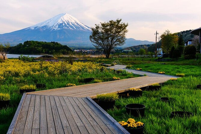 Mt Fuji Private Customize Tour With English Speaking Driver - Customize Your Perfect Mt Fuji Tour