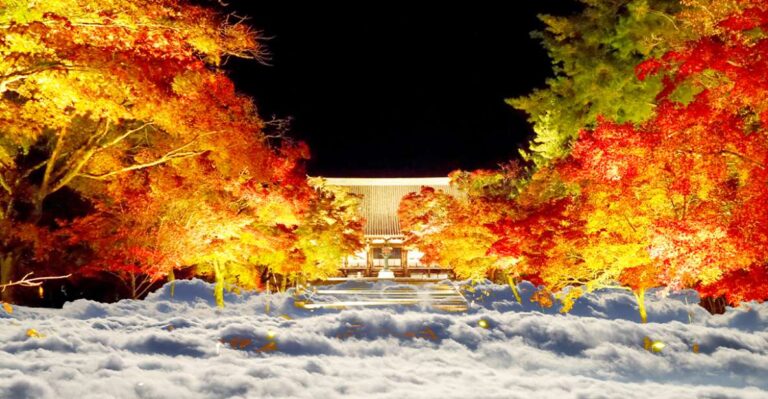 Ninnaji Temple: Special Entry for Unkai Light up Quick Takeaways